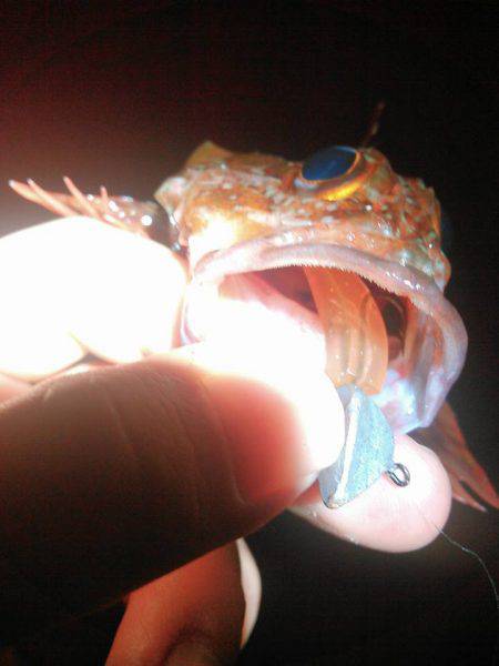 長潮の濁り潮の巻